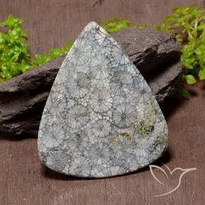 Coral Gemstone in 48 x 39.7 mm Size for Sale, Coral Stone in Multicolor Color