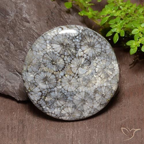 54.18ct Natural Multicolor Coral, Round, Opaque