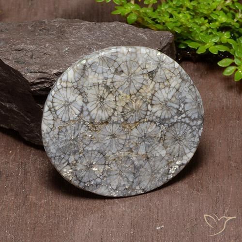 Coral Gemstone in 34.4 mm Size for Sale, Coral Stone in Multicolor Color