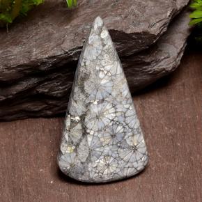 29.10 ct Multicolor Coral Gemstone, Coral Gem in Trillion Cabochon Shape for Sale.