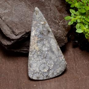 Coral Gemstone in 38.6 x 20.6 mm Size for Sale, Coral Stone in Multicolor Color