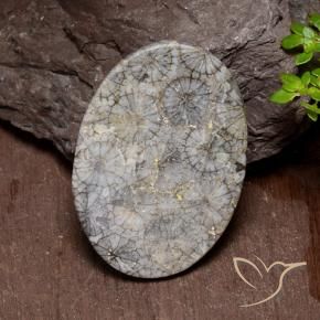 Coral Gemstone in 33.6 x 23.9 mm Size for Sale, Coral Stone in Multicolor Color