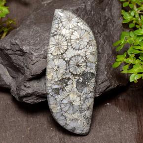 26.84 ct Multicolor Coral Gemstone, Coral Gem in Fancy Cabochon Shape for Sale.