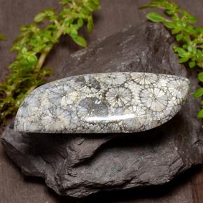 26.84 ct Multicolor Coral Stone, Natural Coral in Fancy Cabochon Shape for Sale