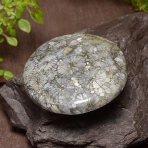 42.64 ct Multicolor Coral Gemstone, Coral Gem in Round Cabochon Shape for Sale.