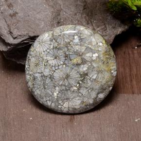 42.64 ct Multicolor Coral Stone, Natural Coral in Round Cabochon Shape for Sale