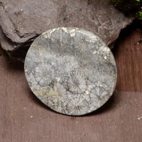 Coral Gemstone in 29.4 mm Size for Sale, Coral Stone in Multicolor Color