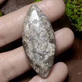 Multicolor Coral Gem - 37ct Marquise Cabochon (ID: 497595)