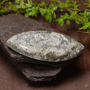 36.99 ct Multicolor Coral Stone, Natural Coral in Marquise Cabochon Shape for Sale