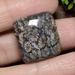 23.19 ct Multicolor Coral Gemstone, Coral Gem in Cushion Cabochon Shape for Sale.