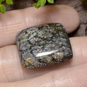 23.19 ct Multicolor Coral Stone, Natural Coral in Cushion Cabochon Shape for Sale