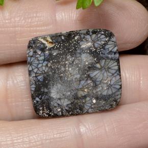 Coral Gemstone in 21.3 x 19.5 mm Size for Sale, Coral Stone in Multicolor Color