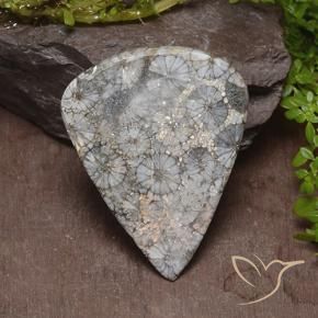 Coral Gemstone in 38.3 x 29 mm Size for Sale, Coral Stone in Multicolor Color