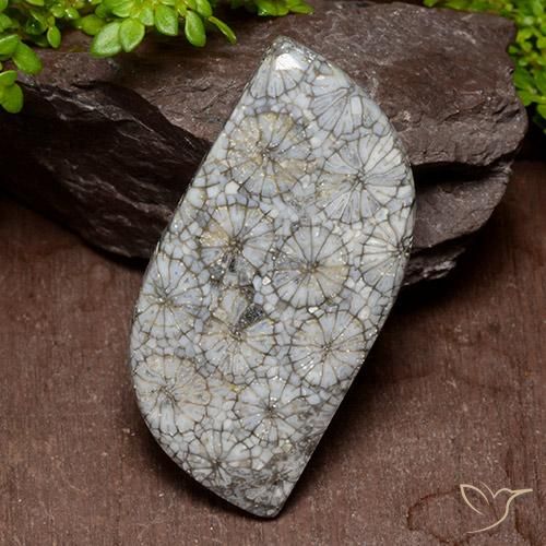 40.47ct Natural Multicolor Coral, Fancy, Opaque
