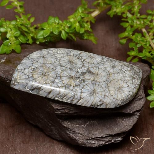 40.47 ct Multicolor Coral Stone, Natural Coral in Fancy Cabochon Shape for Sale