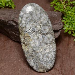 Multicolor Coral Gem - 54.4ct Oval Cabochon (ID: 497601)