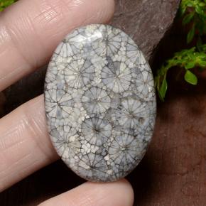 34.23 ct Multicolor Coral Gemstone, Coral Gem in Oval Cabochon Shape for Sale.