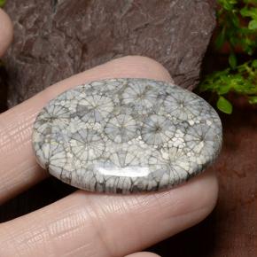 34.23 ct Multicolor Coral Stone, Natural Coral in Oval Cabochon Shape for Sale