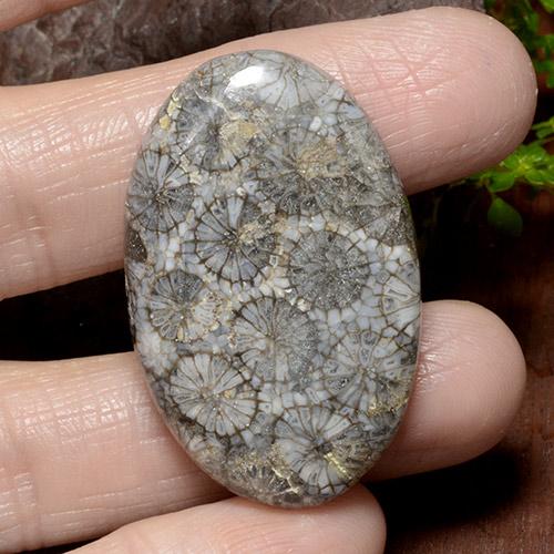 Multicolor Coral Gem - 42.3ct Oval Cabochon (ID: 497603)