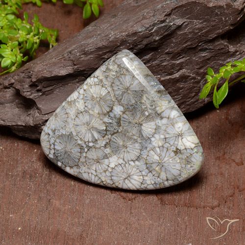 39.63 ct Multicolor Coral Gemstone, Coral Gem in Pear Cabochon Shape for Sale.
