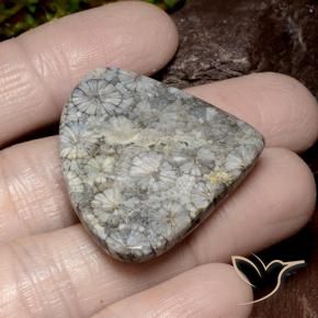 39.63 ct Multicolor Coral Stone, Natural Coral in Pear Cabochon Shape for Sale