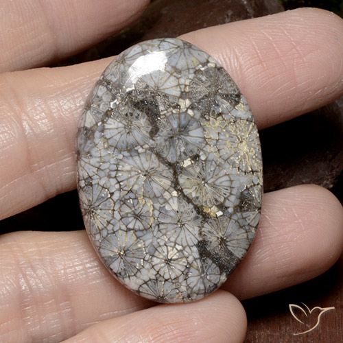 49.51 ct Multicolor Coral Gemstone, Coral Gem in Oval Cabochon Shape for Sale.