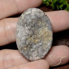 Coral Gemstone in 38.9 x 25.4 mm Size for Sale, Coral Stone in Multicolor Color