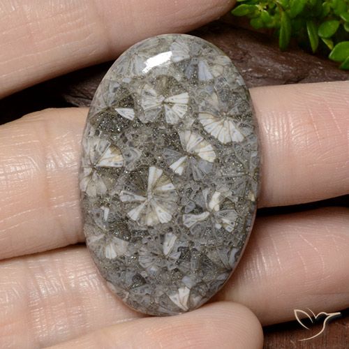 42.02ct Natural Multicolor Coral, Oval, Opaque