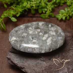 42.02 ct Multicolor Coral Stone, Natural Coral in Oval Cabochon Shape for Sale