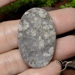 Coral Gemstone in 36.2 x 23.2 mm Size for Sale, Coral Stone in Multicolor Color