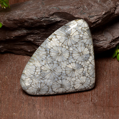 Многоцветный Коралл Камень - 41.8ct Груша Кабошон (ID: 497607)