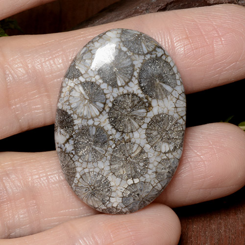 Multicolor Coral Gem - 40.1ct Oval Cabochon (ID: 497608)