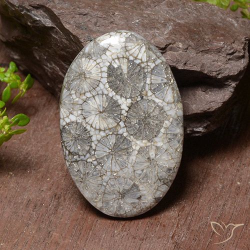 38.17ct Natural Multicolor Coral, Oval, Opaque, Photo A