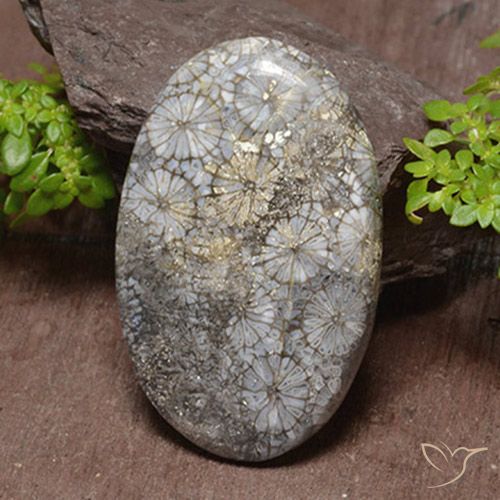 46.22ct Natural Multicolor Coral, Oval, Opaque