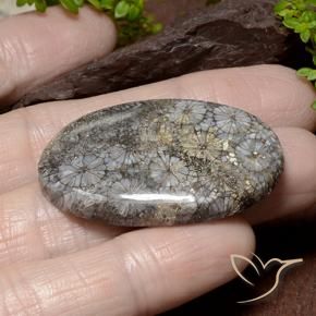 46.22 ct Multicolor Coral Stone, Natural Coral in Oval Cabochon Shape for Sale