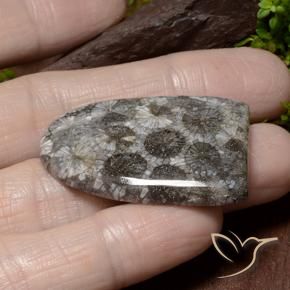 45.79 ct Multicolor Coral Stone, Natural Coral in Fancy Cabochon Shape for Sale