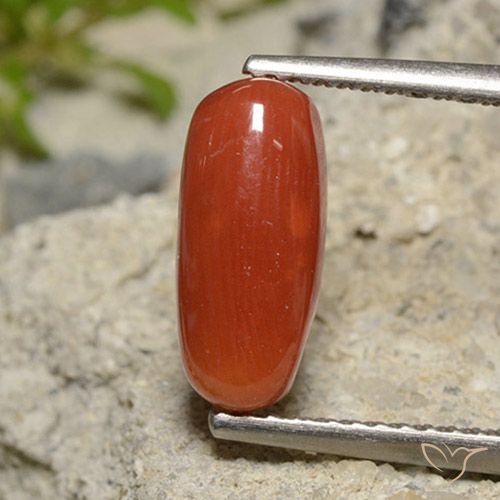 2.09 ct Red Coral, 11.6 x 5.1 mm Oval Cut From Australia, Photo A