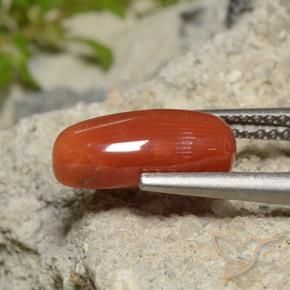 2.09 ct Red Coral Stone, Natural Coral in Oval Cabochon Shape for Sale