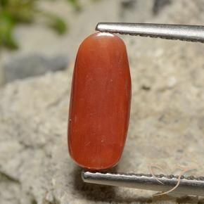 Coral Gemstone in 11.6 x 5.1 mm Size for Sale, Coral Stone in Orange Red Color