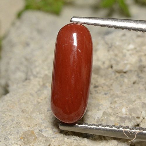 2.14 ct Red Coral, 12.4 x 4.9 mm Oval Cut From Australia, Photo A