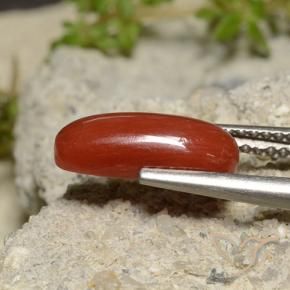 2.14 ct Red Coral Stone, Natural Coral in Oval Cabochon Shape for Sale