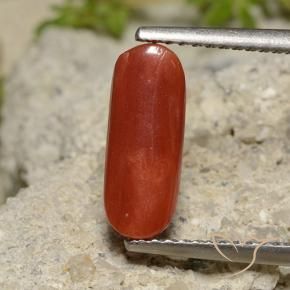 Coral Gemstone in 12.4 x 4.9 mm Size for Sale, Coral Stone in Orange Red Color