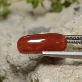 1.89 ct Red Coral Stone, Natural Coral in Oval Cabochon Shape for Sale