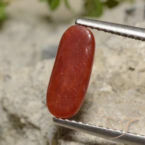 Coral Gemstone in 11.6 x 4.8 mm Size for Sale, Coral Stone in Lipstic Red Color