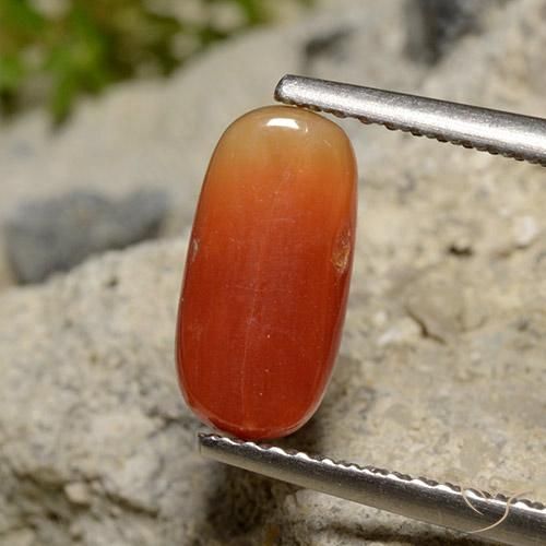 Coral Gemstone in 10.9 x 5.4 mm Size for Sale, Coral Stone in Medium Orange Color