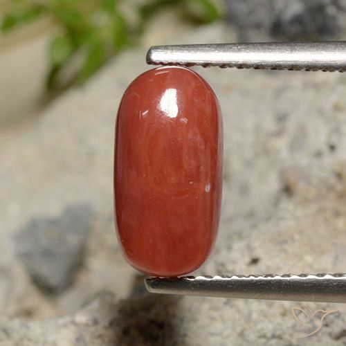 2.04 ct Red Coral, 10.4 x 5.5 mm Oval Cut From Australia, Photo A