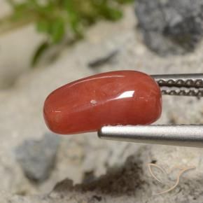 2.04 ct Red Coral Stone, Natural Coral in Oval Cabochon Shape for Sale