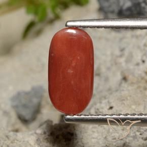 Coral Gemstone in 10.4 x 5.5 mm Size for Sale, Coral Stone in Orange Red Color