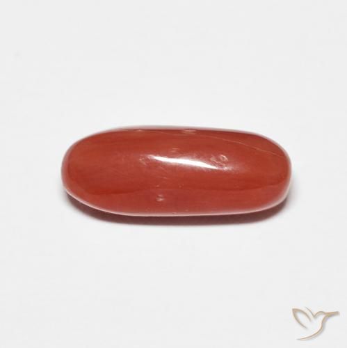 2.01 ct Red Coral, 12 x 4.8 mm Oval Cut From Australia, Photo A