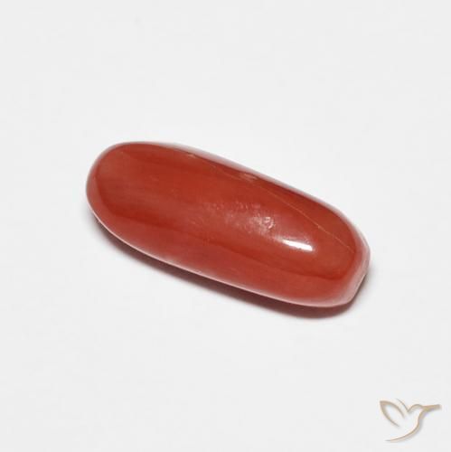 2.01 ct Red Coral Stone, Natural Coral in Oval Cabochon Shape for Sale